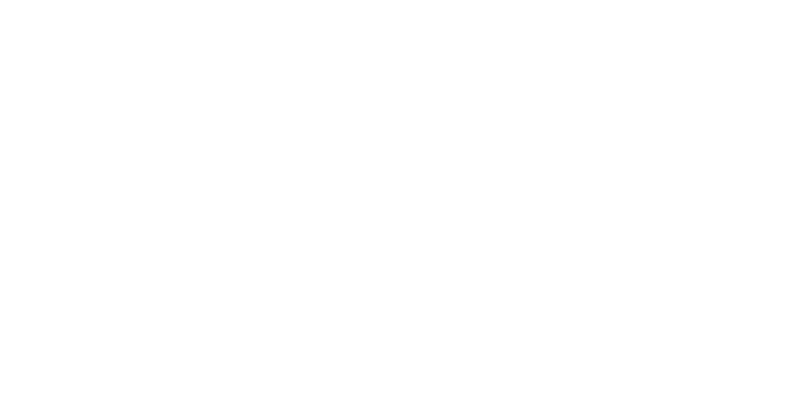 Anahí Afriol Branding